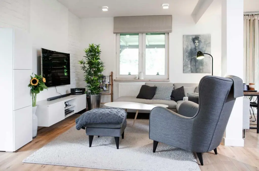 Salon i fotel uszak