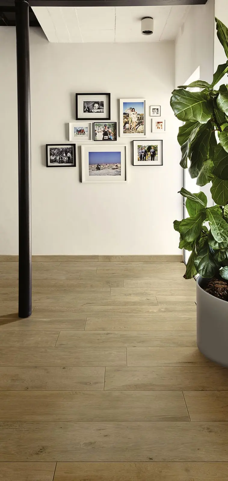 Płytki Marazzi Treverkdear