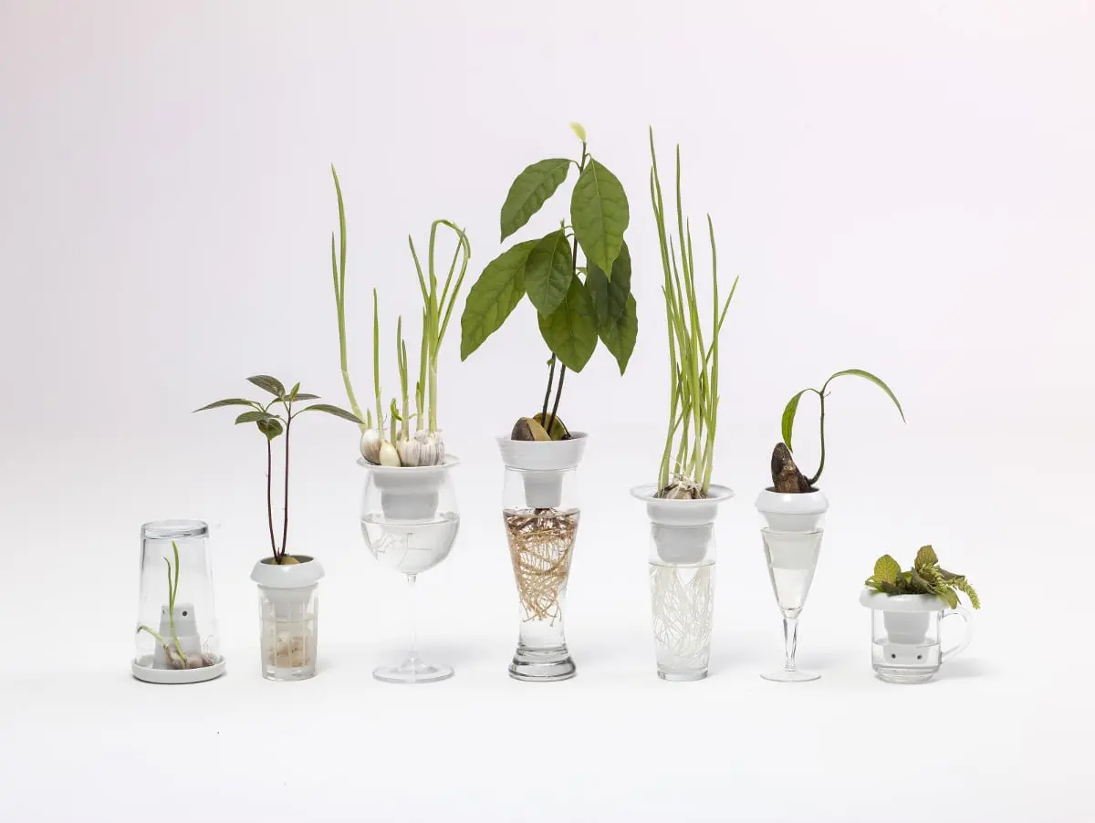 „Plantacja”, 2014, autorka projektu: Alicja Patanowska; produkcja: Porcelana Kristoff