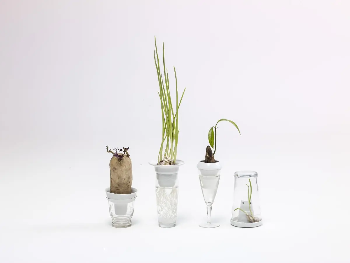 „Plantacja”, 2014, autorka projektu: Alicja Patanowska; produkcja: Porcelana Kristoff
