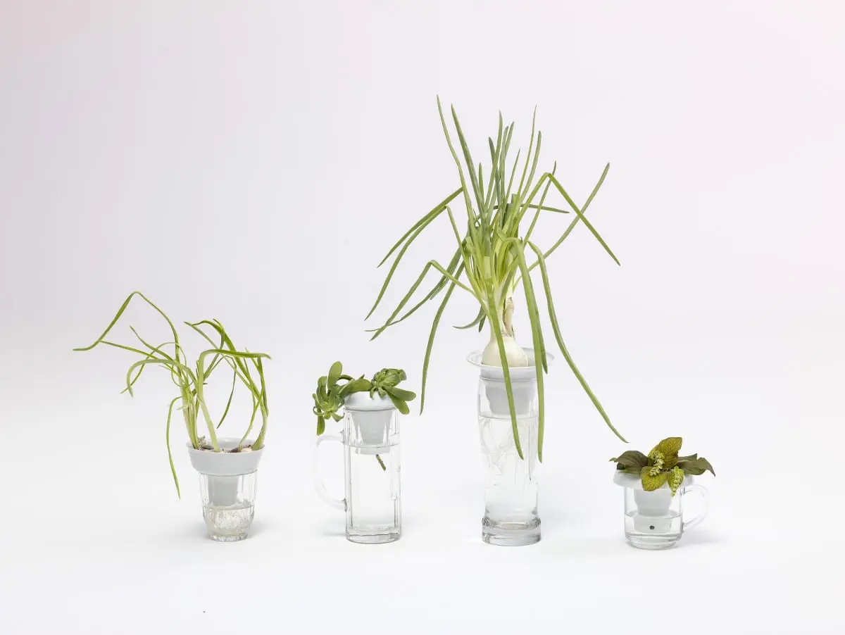 „Plantacja”, 2014, autorka projektu: Alicja Patanowska; produkcja: Porcelana Kristoff
