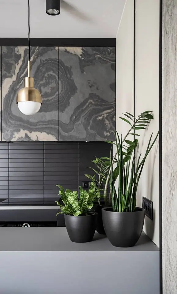 Formea Studio