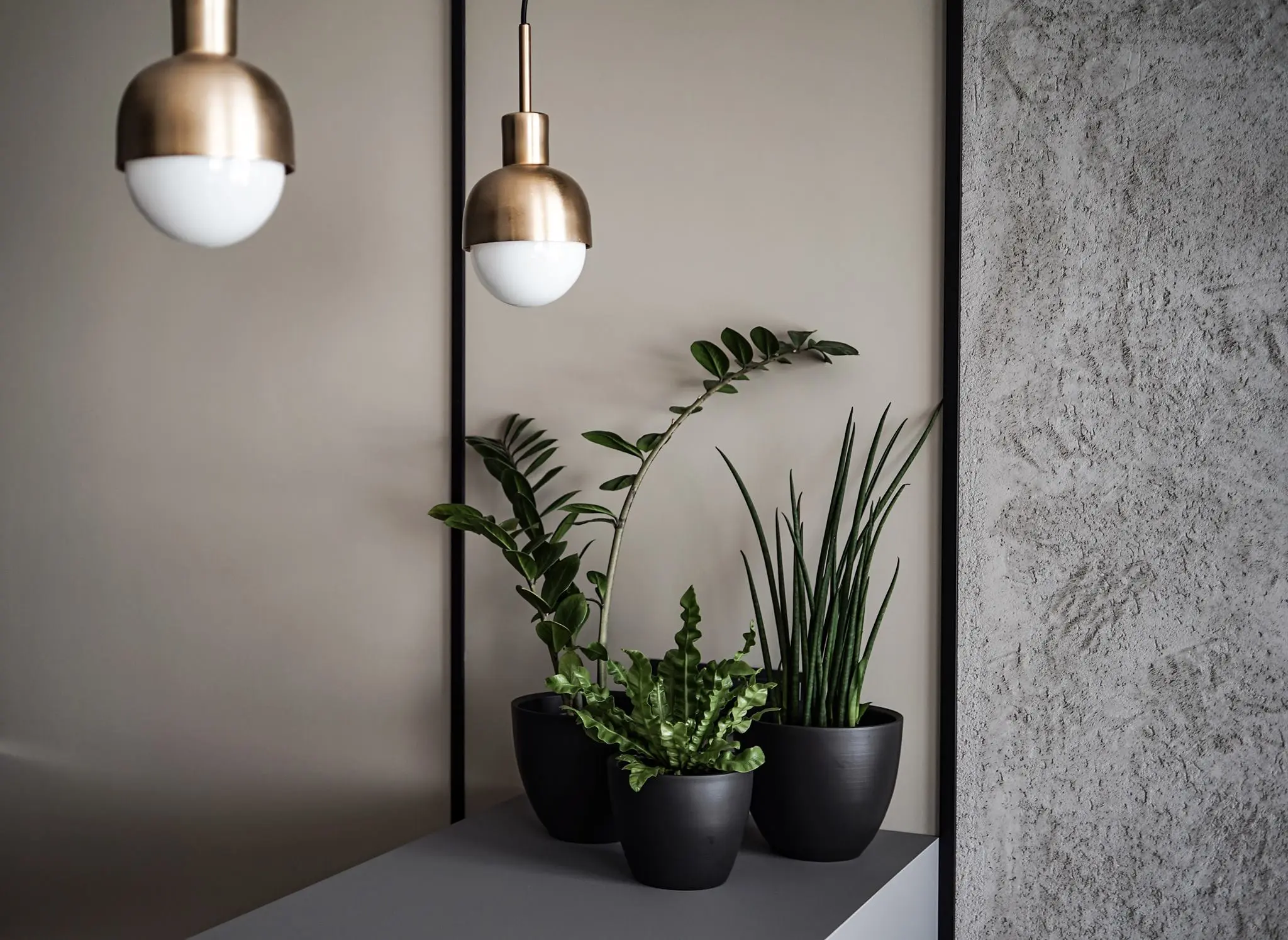 Formea Studio