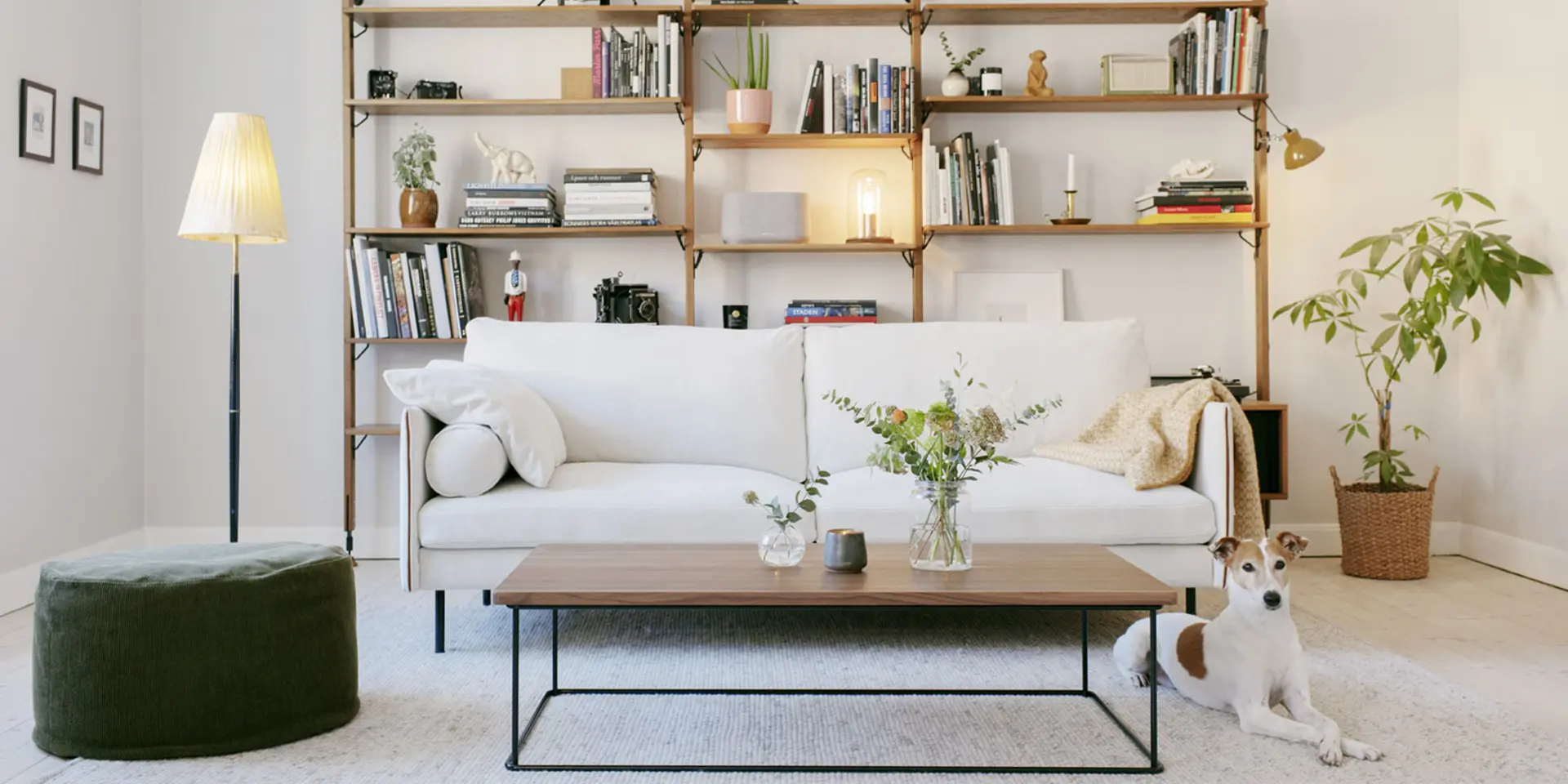 SOFA SITS