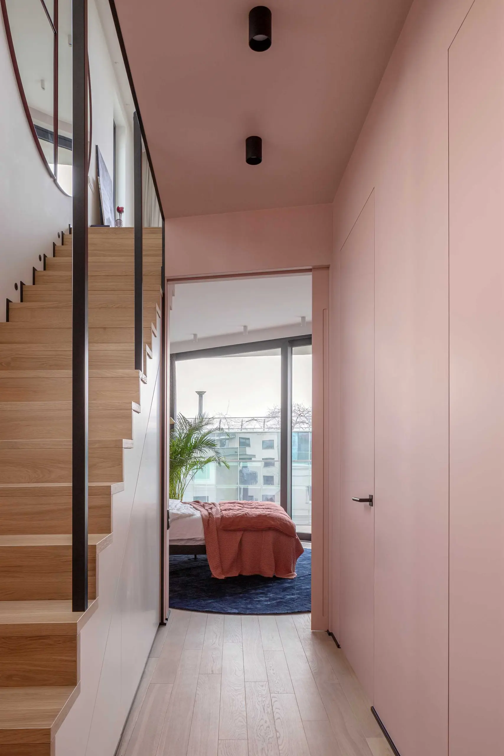 Proj. Modeko Studio
