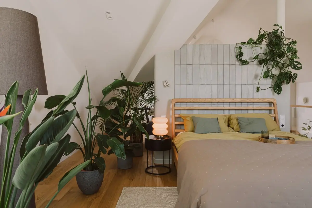 proj. Finchstudio | zdj. Zasoby Studio