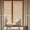 proj. Finchstudio