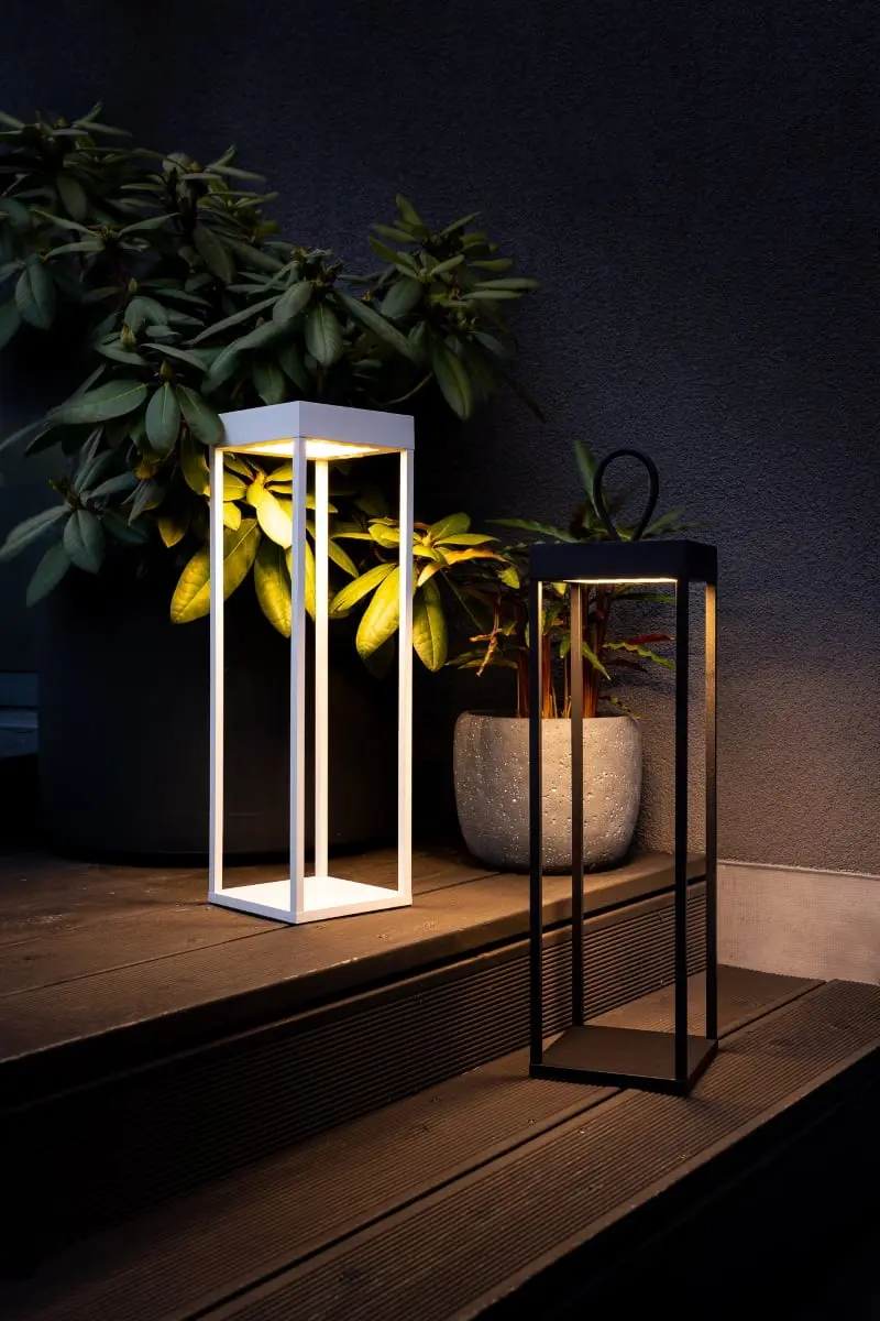 lampiris sternlight