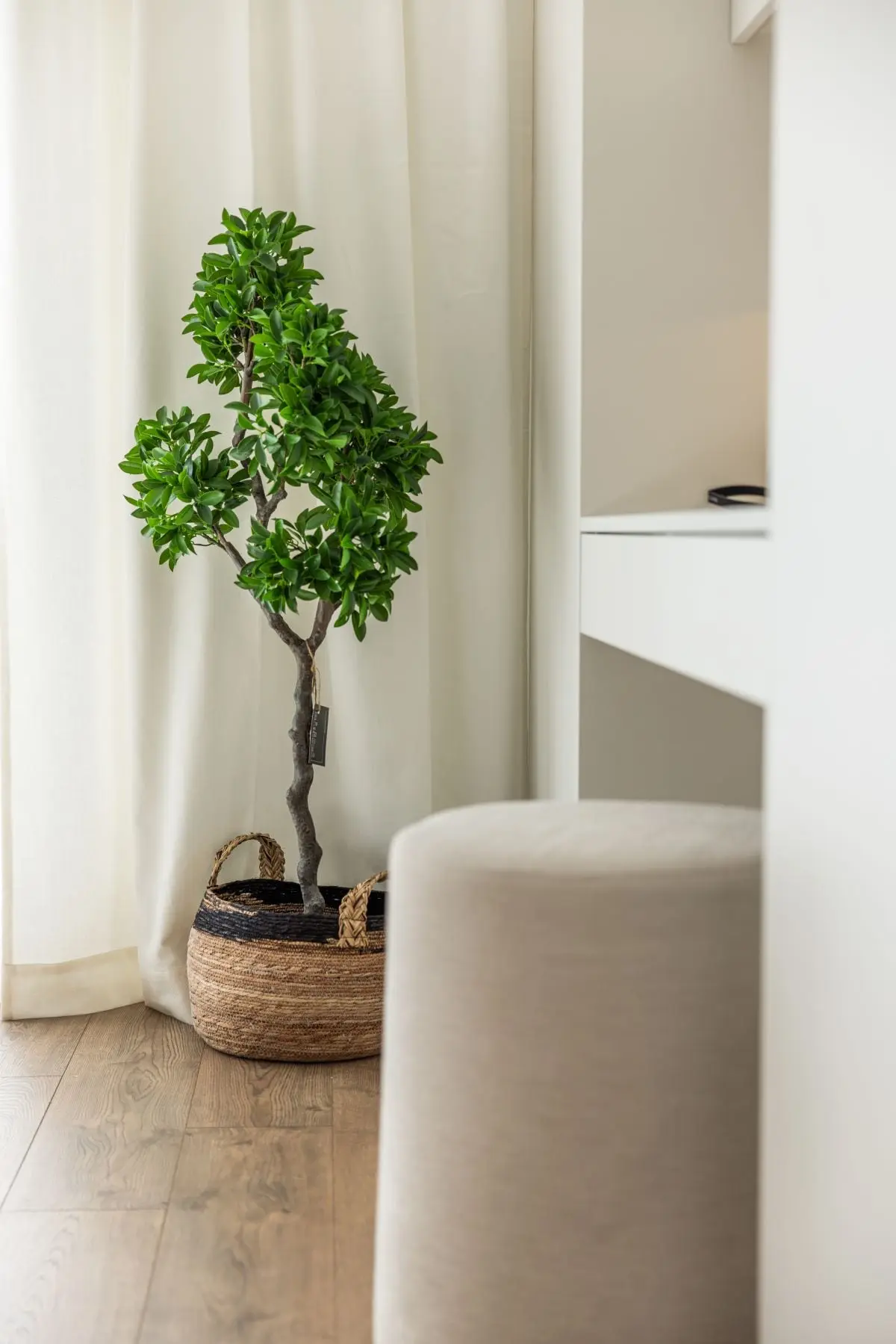 Proj.: Masz Design