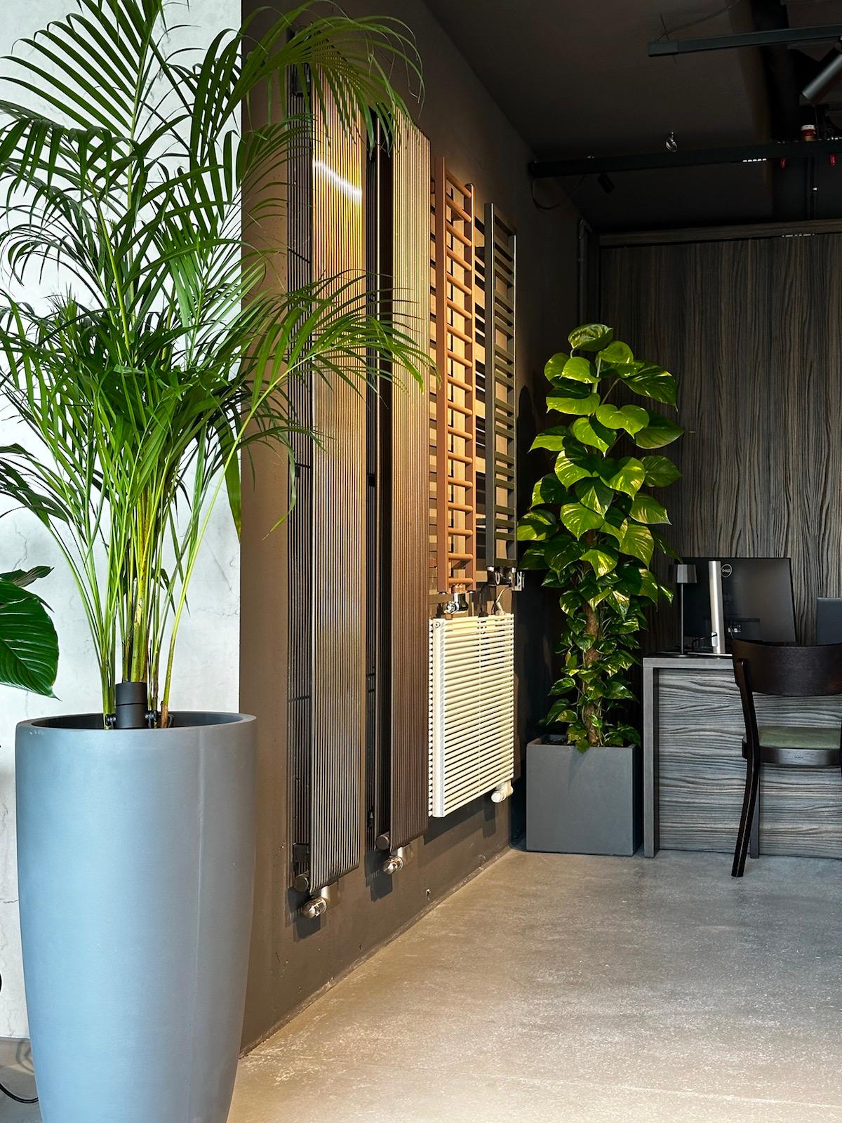 Showroom Internity Home Wrocław