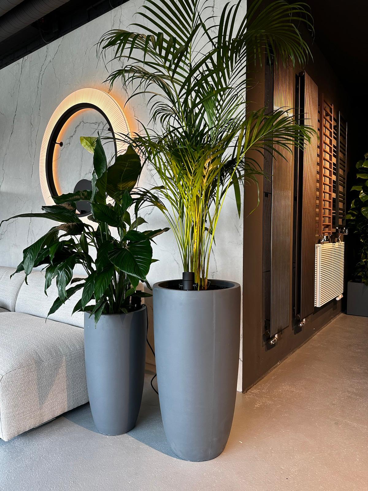 Showroom Internity Home Wrocław