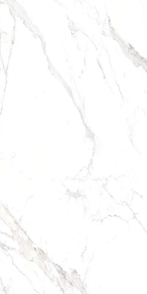 820189_O2.jpg