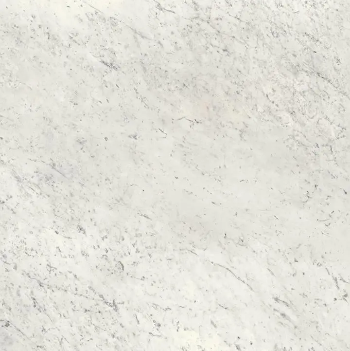817591_O1.jpg