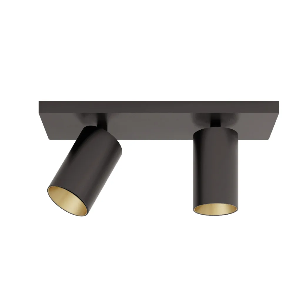 SP2 black gold.jpg