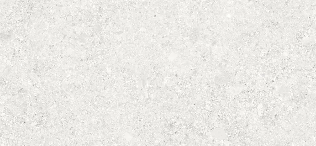 A6498322.jpg